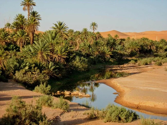 Mini Saoura desert tour