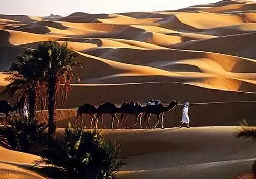 Saoura circuit Algeria tour